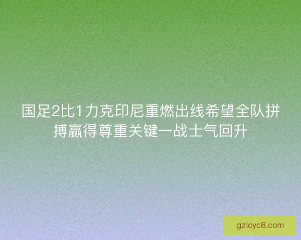 国足2比1力克印尼重燃出线希望全队拼搏赢得尊重关键一战士气回升